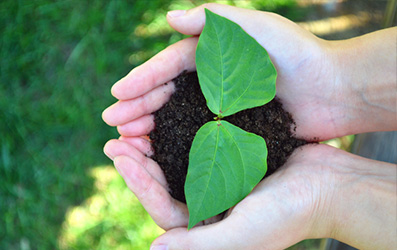 122cc太阳集成游戏(中国)有限公司官网